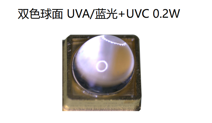 【尊龙登录入口】PA-C1DHB 双色球面 UVA/蓝光+UVC 0.2W